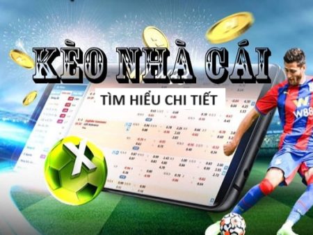 Manclub Trải nghiệm nhà cái cá cược thể thao hàng đầu châu Á