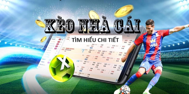 Manclub Trải nghiệm nhà cái cá cược thể thao hàng đầu châu Á Manclub Trải nghiệm nhà cái cá cược thể thao hàng đầu châu Á